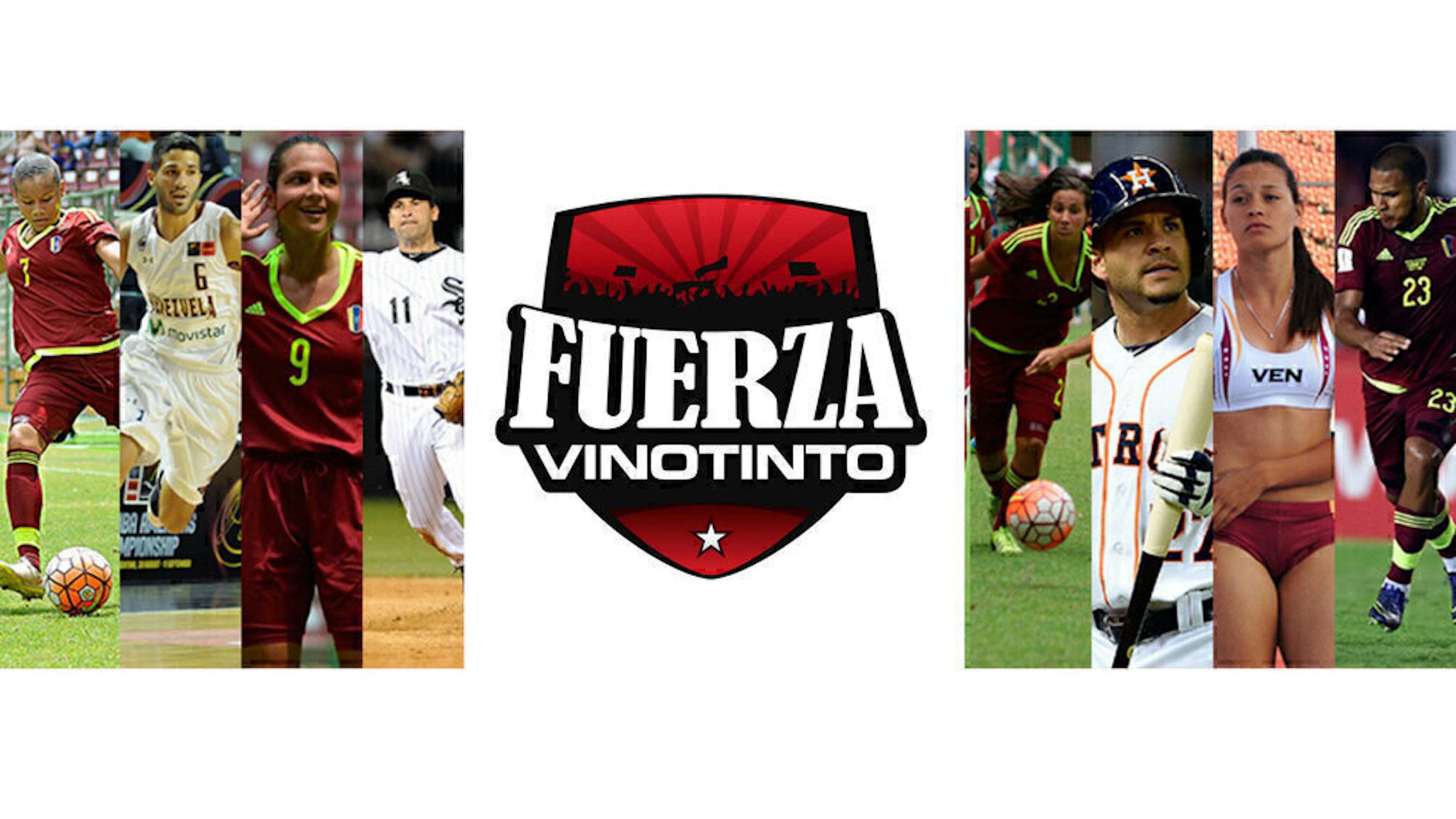 Fuerza Vinotinto