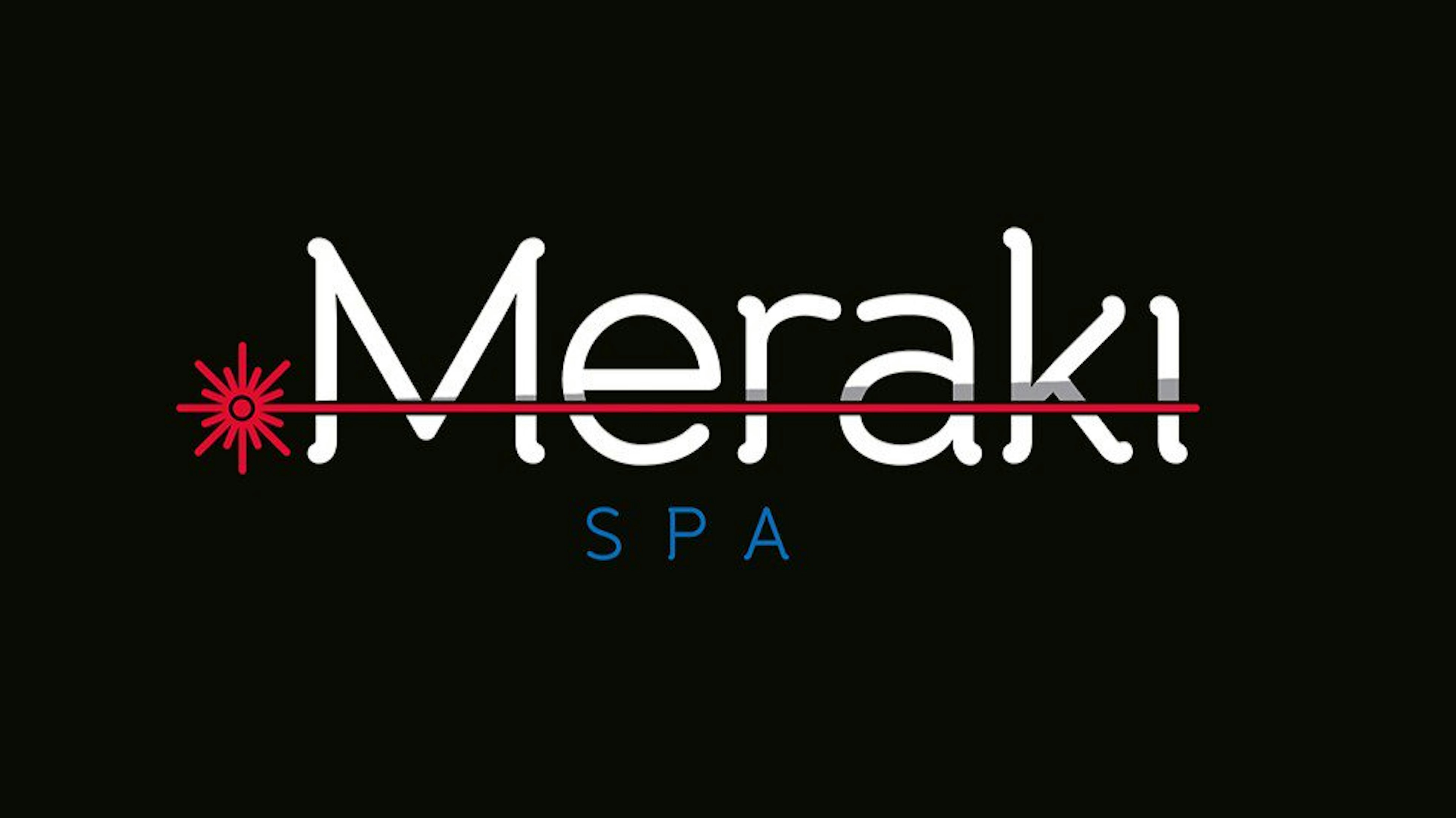 Merakispa